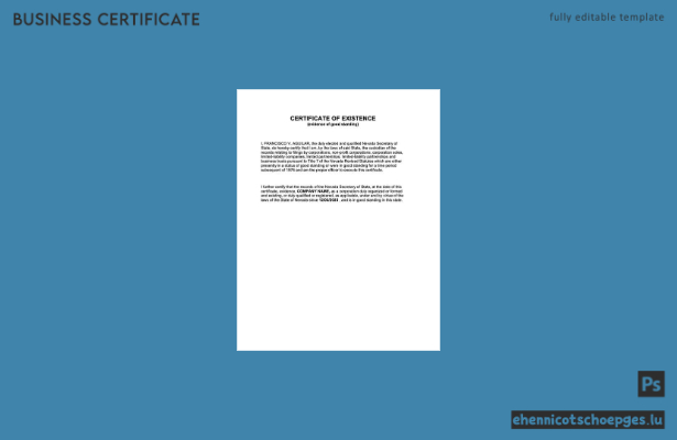 USA Nevada Existenzzertifikat Word- und PDF-Beispielvorschau